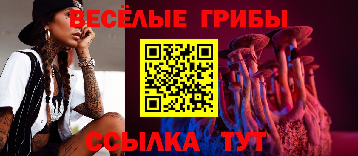 Псилоцибиновые грибы мицелий  Вход с VPN  Малоярославец  Псилоцибиновые грибы прущие грибы 