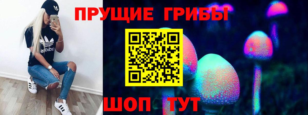 Псилоцибиновые грибы GOLDEN TEACHER Малоярославец